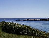 View from Grey Cottage