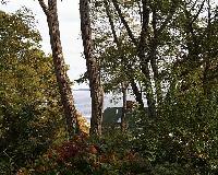 View towards water from Pine Cottage